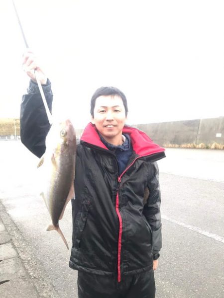 ジギング釣り果